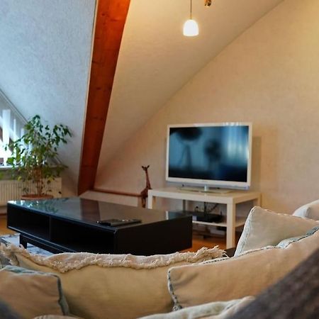 Grosse, Helle Wohnung Fuer Bis Zu 6 Personen Weinheim Exterior photo